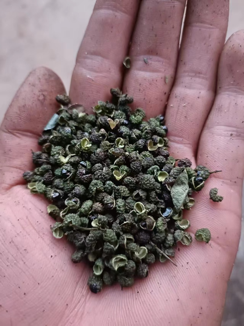 云南省丽江市华坪县青花椒