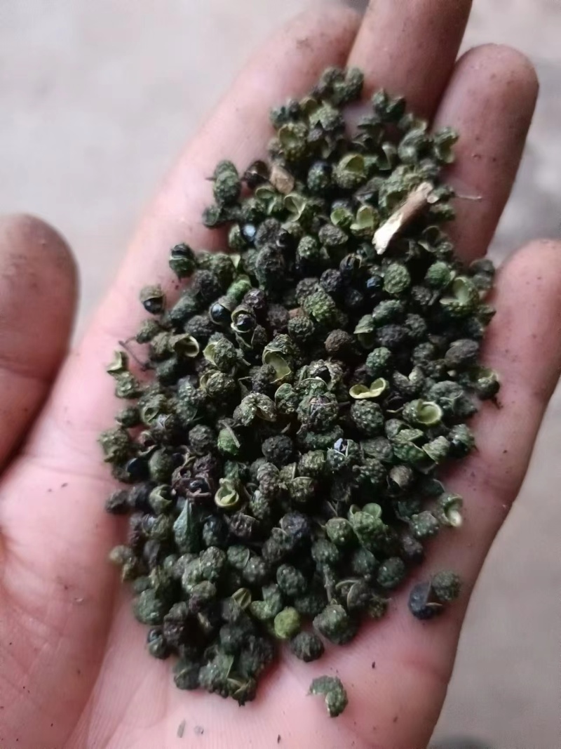 云南省丽江市华坪县青花椒