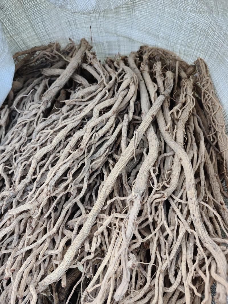 去头，精品防风