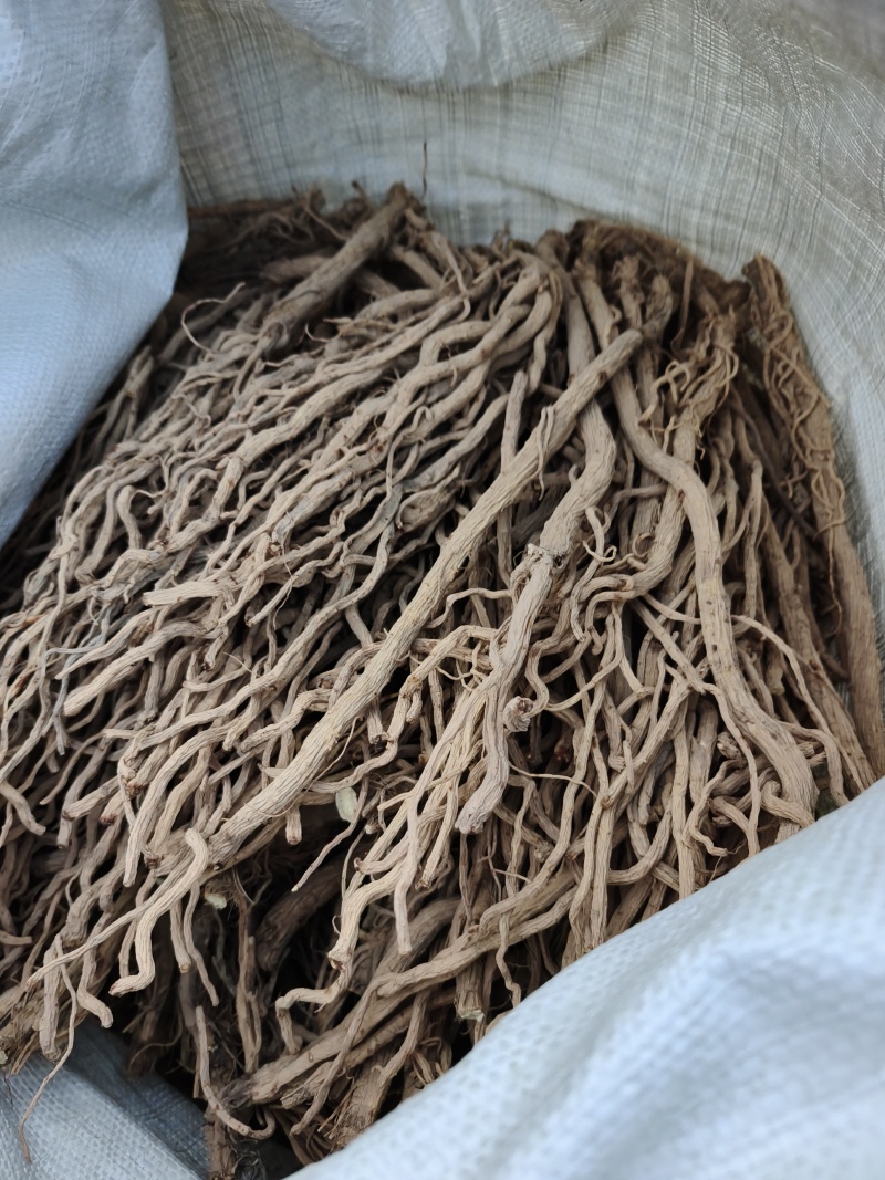 去头，精品防风