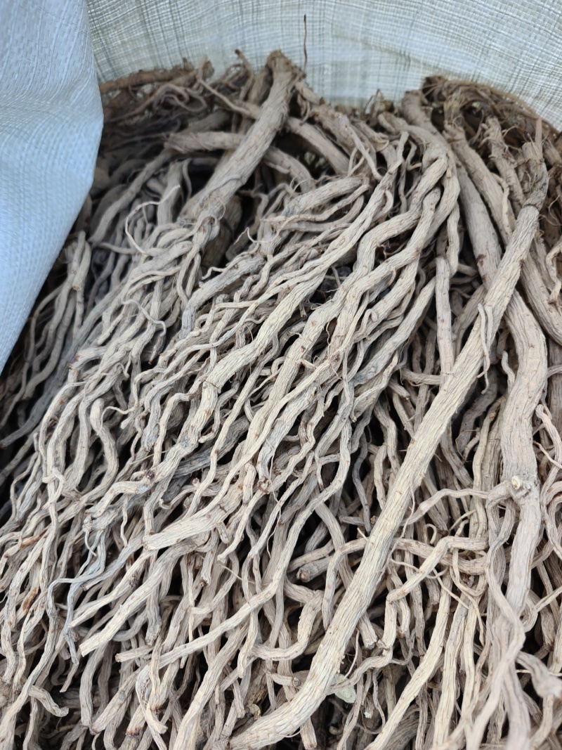 去头，精品防风