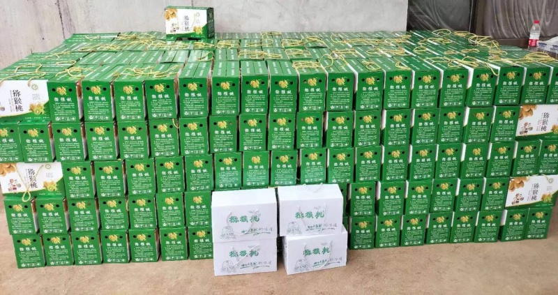 博山源泉优质精品猕猴桃，新鲜甘甜，价格便宜。