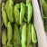 辽宁凌海冷棚辣椒🌶️，椒王，长剑，306，尼泊特等