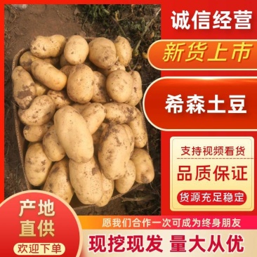 辽宁省锦州市精品个品种各种重量土豆（品质保障，信誉第一）