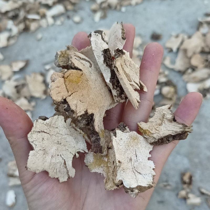 土茯苓干货