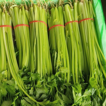 精品香芹，大量供应，质量非常好，价格不贵！要的老板联系