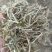 花生油饼（麸）是花生榨油后剩余的残渣。它富含蛋白质欢迎