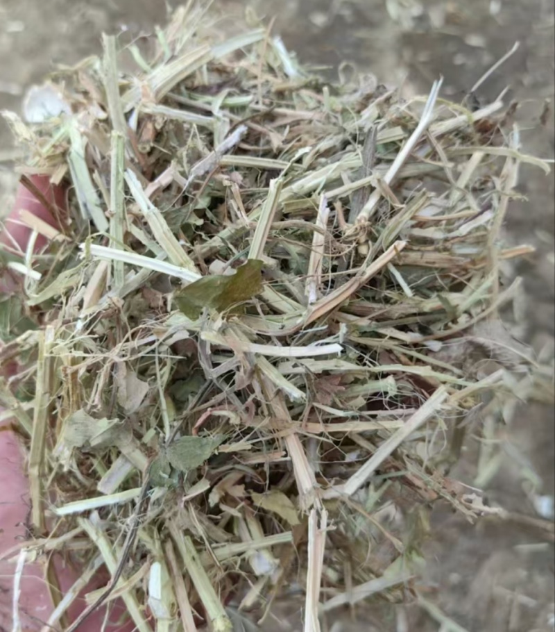 花生油饼（麸）是花生榨油后剩余的残渣。它富含蛋白质欢迎