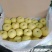 山西双油纸袋贡梨蜜梨酥梨产地直发品质保证量大从优