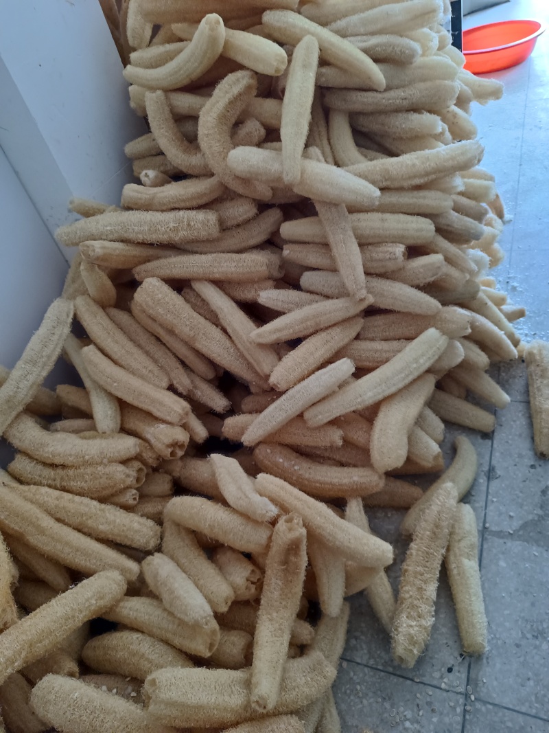 丝瓜络种植，自产自销