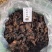 贵州纯野生姜形黄精古法泡制九蒸九晒九制黄精泡茶泡酒煲汤