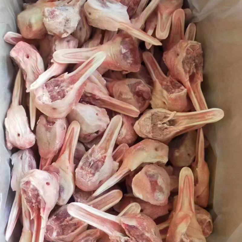 去舌鸭下巴