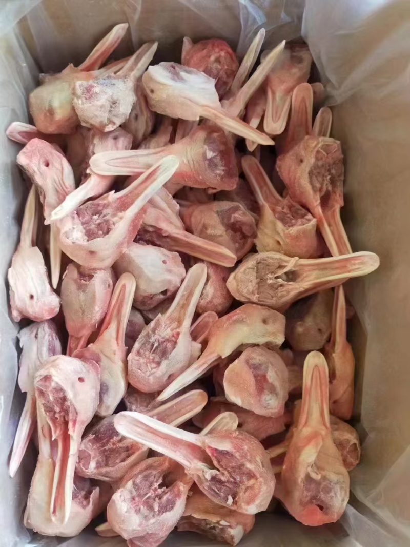 去舌鸭下巴