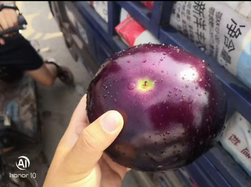山东聊城莘县紫光圆茄，产地直发，量大从优，欢迎来电咨询
