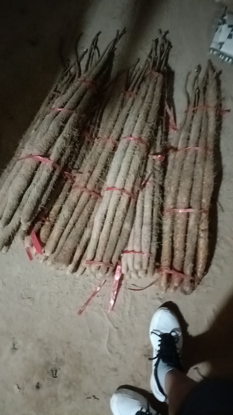 红皮铁棍山大货小货都有，现货多多，产地直发