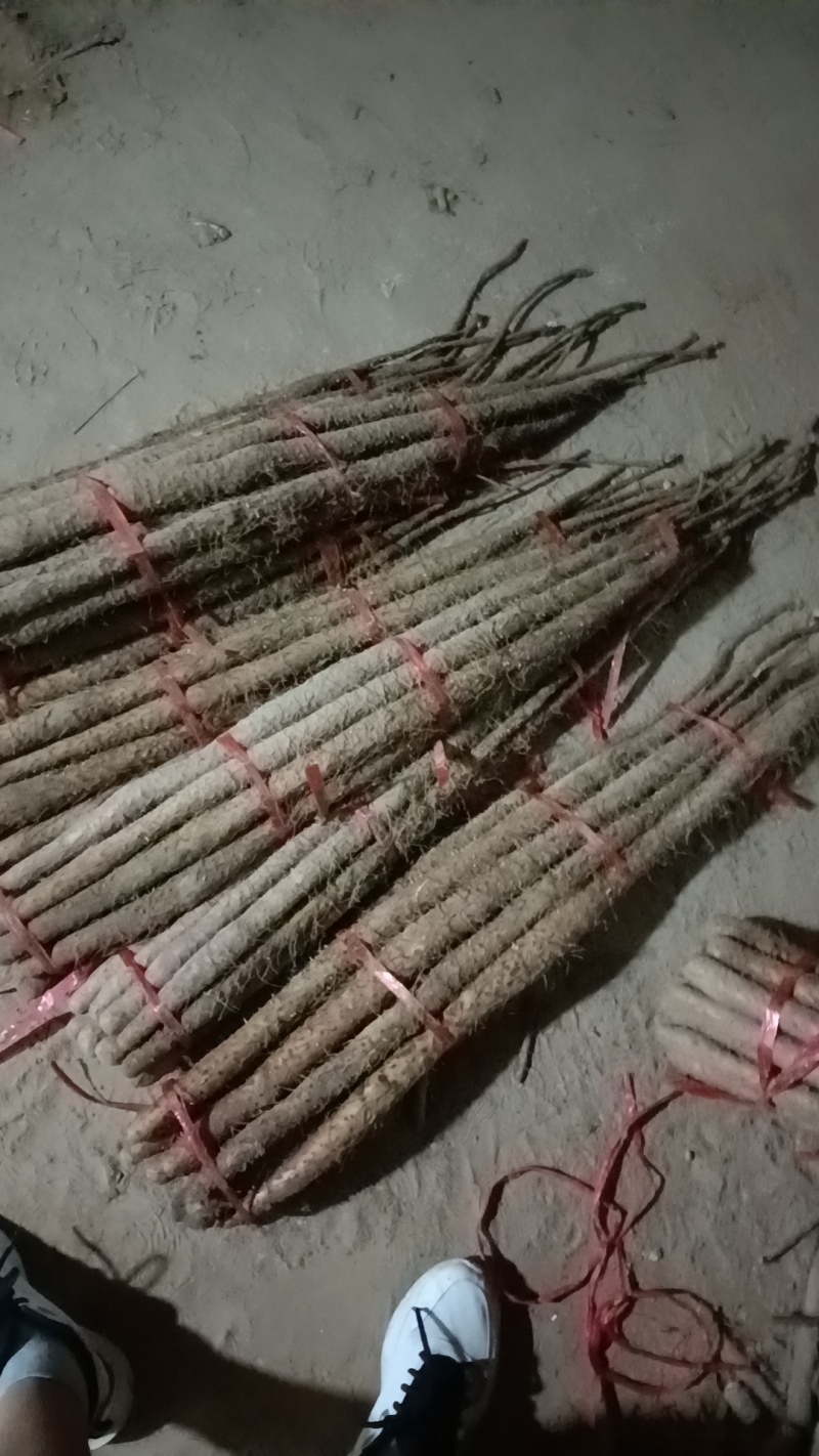 红皮铁棍山大货小货都有，现货多多，产地直发