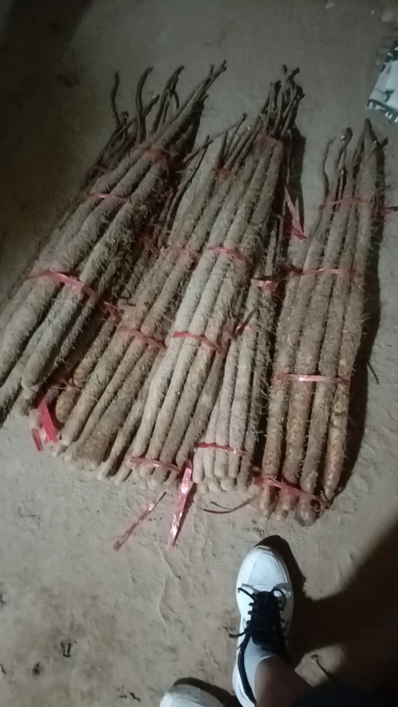 红皮铁棍山大货小货都有，现货多多，产地直发