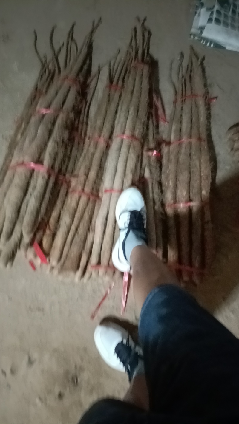 红皮铁棍山大货小货都有，现货多多，产地直发