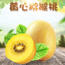 黄心猕猴桃奇异果支持一件代发，电商平台对接发货