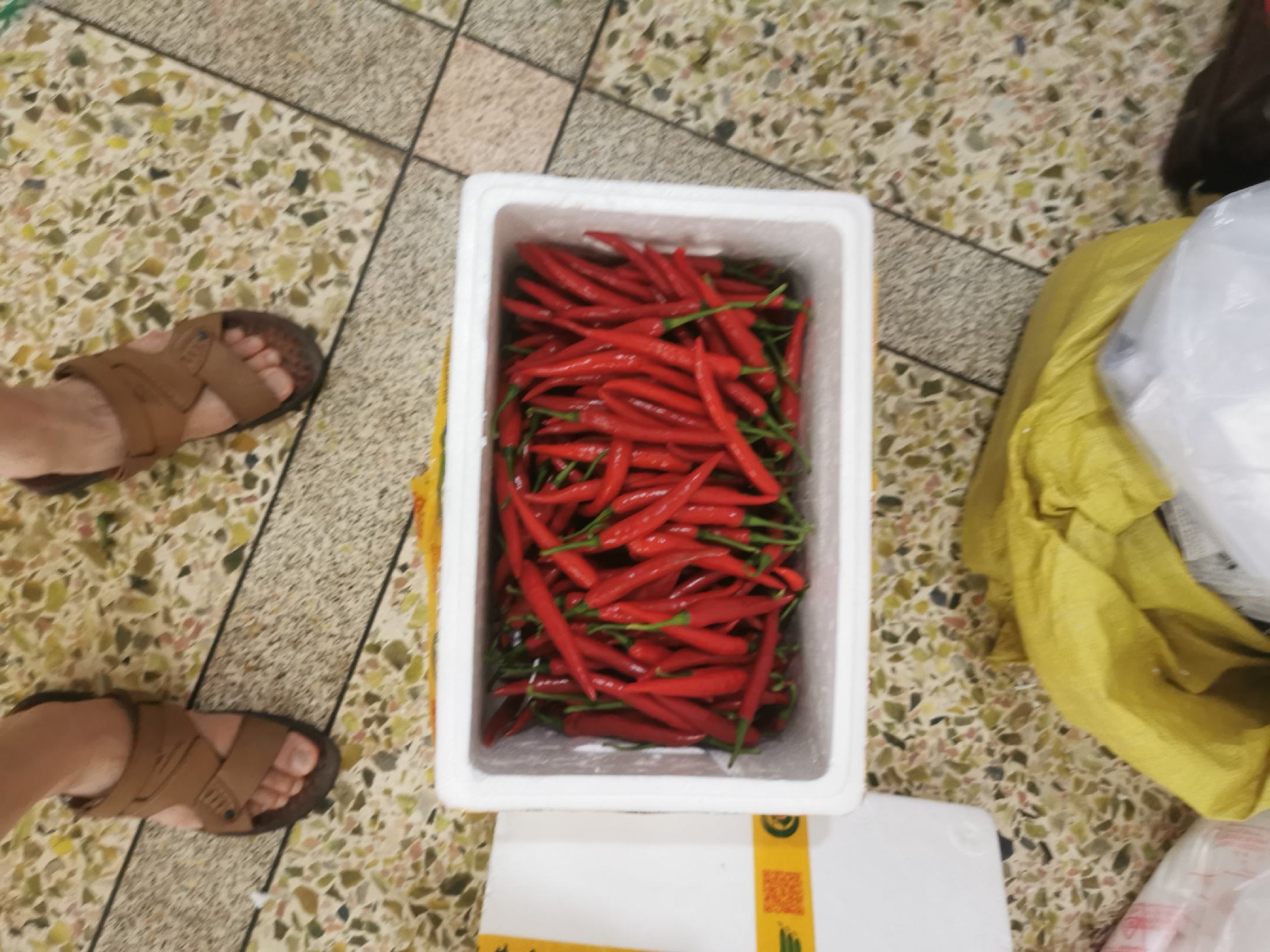 图片说明:一盒新鲜的红辣椒整齐摆放在冰箱保鲜盒中,背景为冷藏环境,展现良好的保鲜状态 鲜辣椒在冰箱保鲜盒中整齐摆放