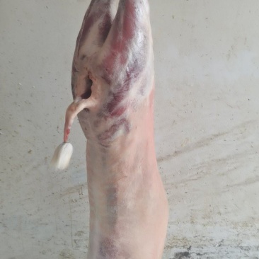 羊肉