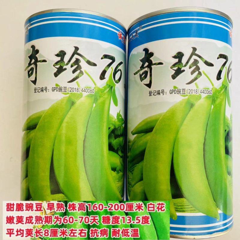 奇珍76甜豌豆种子甜豌豆种籽豌豆尖大粒生熟可吃耐寒四季荷