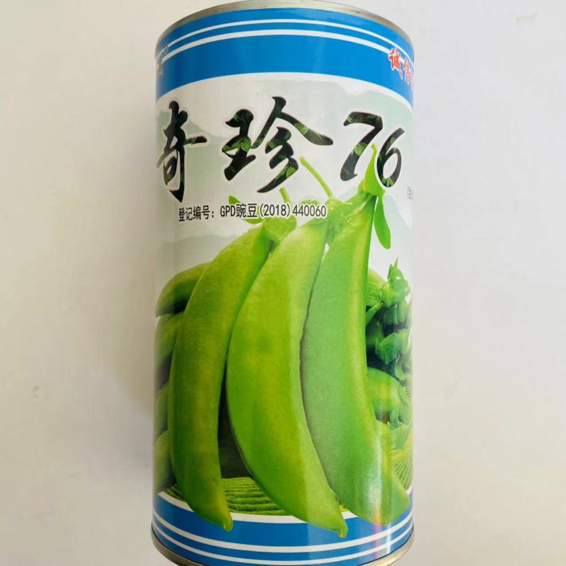 奇珍76甜豌豆种子甜豌豆种籽豌豆尖大粒生熟可吃耐寒四季荷