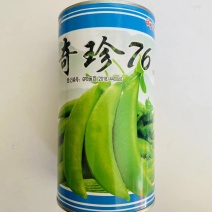 奇珍76甜豌豆种子甜豌豆种籽豌豆尖大粒生熟可吃耐寒四季荷