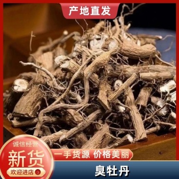 （精品）臭牡丹根现挖现卖视频看货有需要的老板速度下单咯