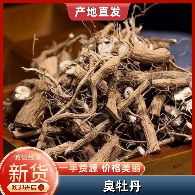 （精品）臭牡丹根现挖现卖视频看货有需要的老板速度下单咯