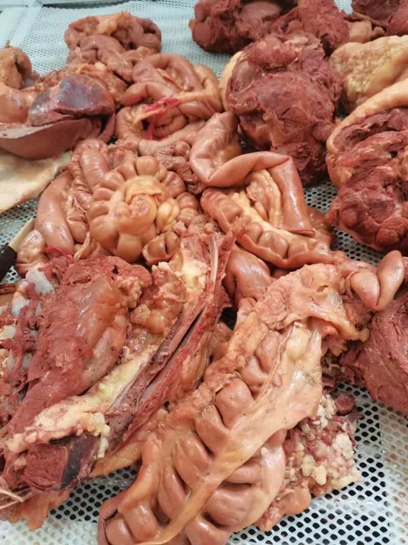 保真纯驴肉证件齐全支持全国复检，欢迎来电洽谈咨询合作