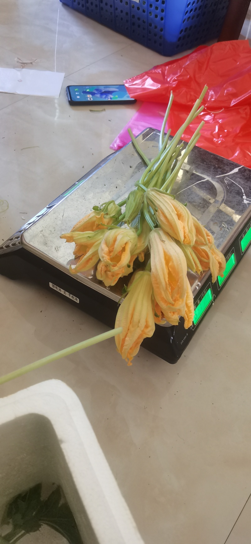 南瓜花