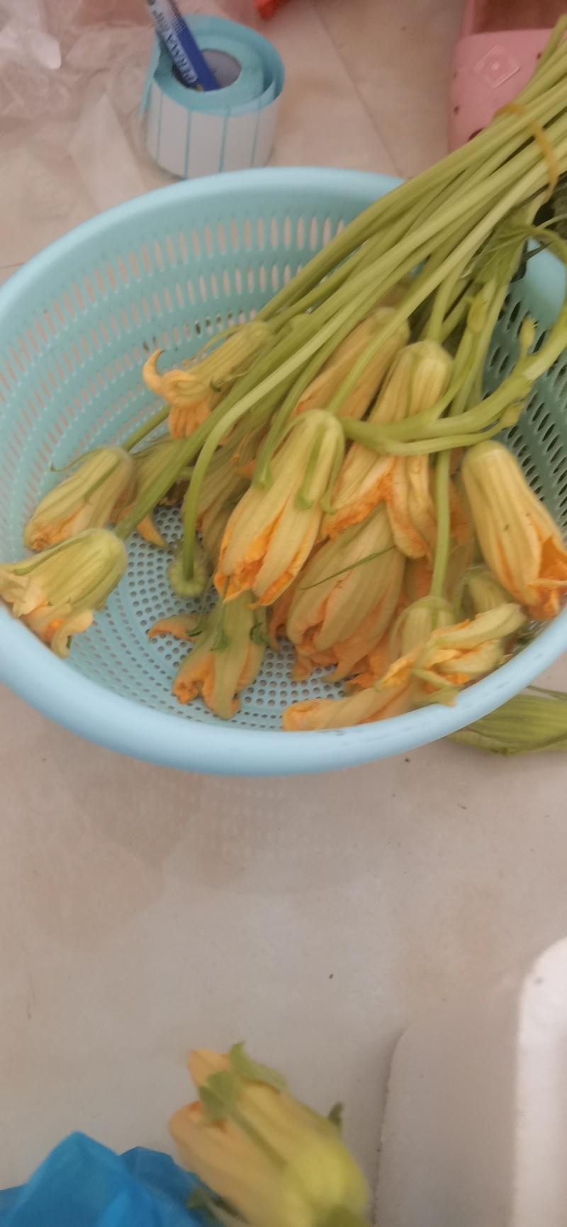 南瓜花