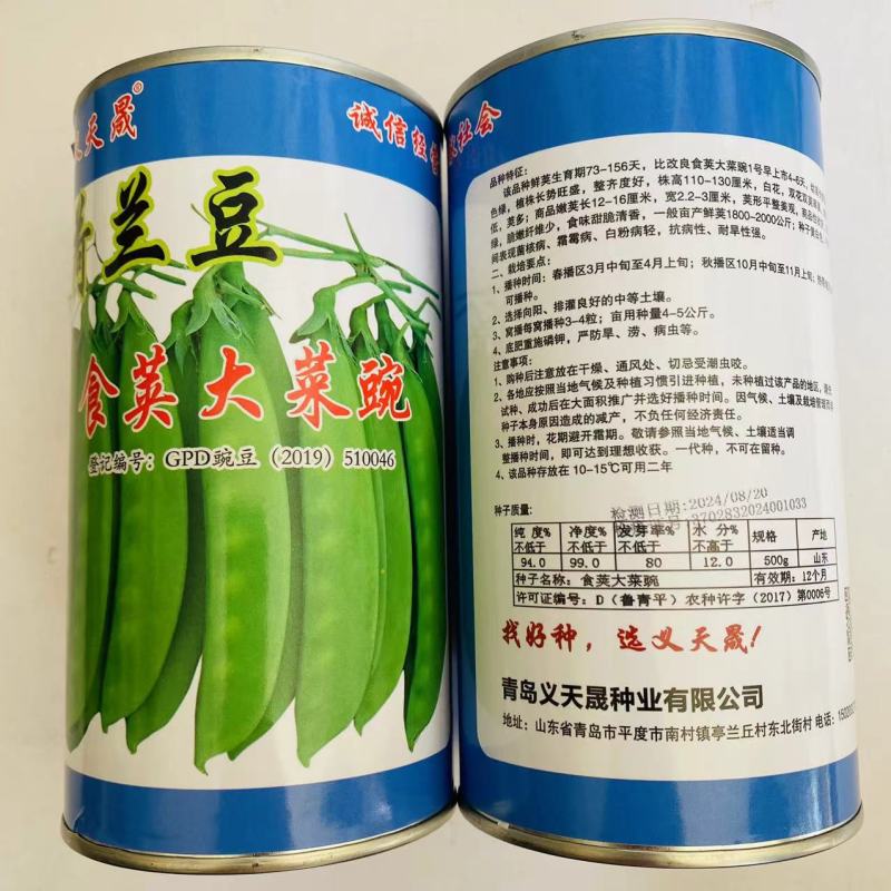 食荚大菜碗荷兰豆种子荚多白花大荚型早中熟抗病甜脆清香蔬菜