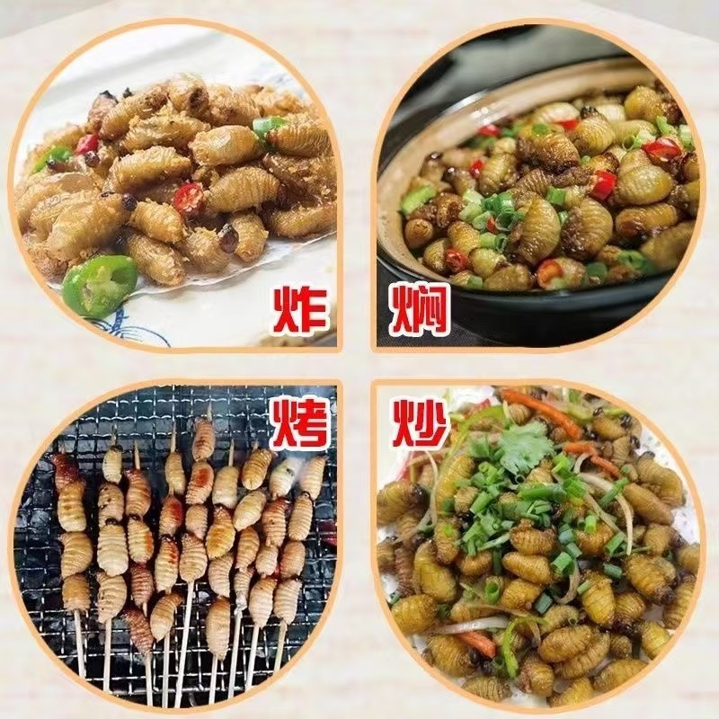 冰冻竹笋虫活虫速冻新鲜可食用虫子油炸虫炸昆虫