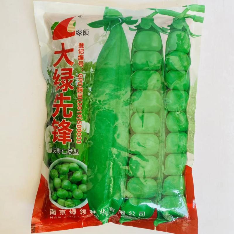 大绿先锋豌豆种子中熟耐寒强甜嫩豌豆种子长寿仁豌豆种籽蔬菜