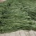 河北优质豆角大量上市货源充足品质保障欢迎电话咨询