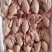 新鲜乳鸽厂家直发品质保障量大优惠按需包装
