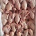 新鲜乳鸽厂家直发品质保障量大优惠按需包装