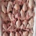 新鲜乳鸽厂家直发品质保障量大优惠按需包装