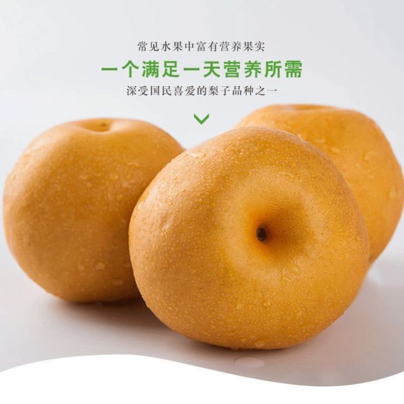 秋月梨大量上市，皮薄喜甜，汁水丰盈，需要的老板可以联系了