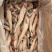 龙头鱼单冻豆腐鱼丝丁鱼九肚鱼江苏海鲜水产