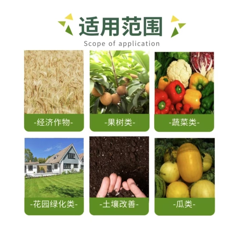 干鸡粪块大蒜种植专用肥