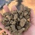 干鸡粪块大蒜种植专用肥
