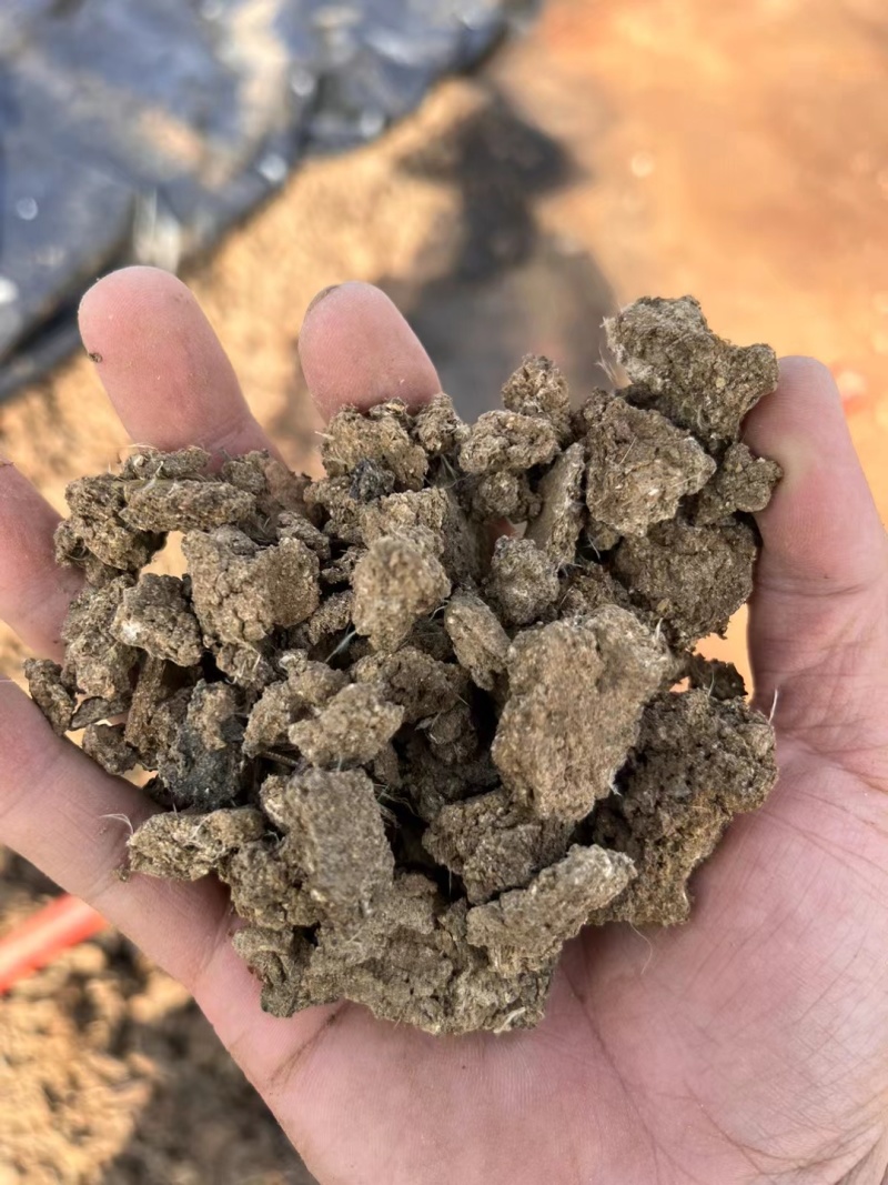 干鸡粪块大蒜种植专用肥