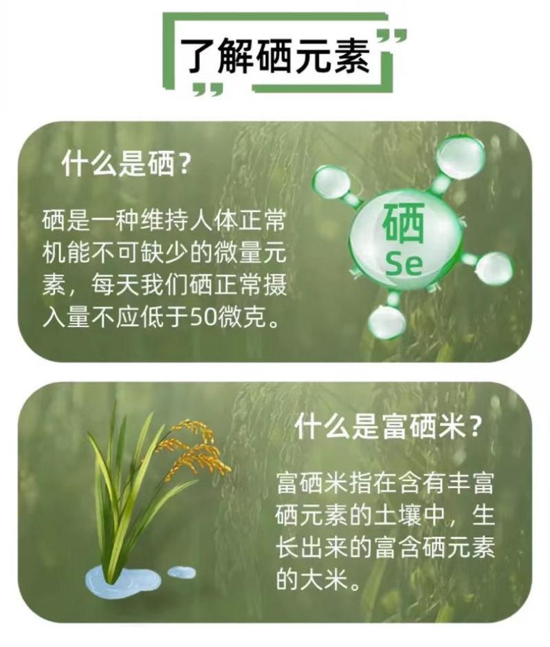 如皋梓鹏富硒大米新米真空包装厂家直发对接全国电商一件代发