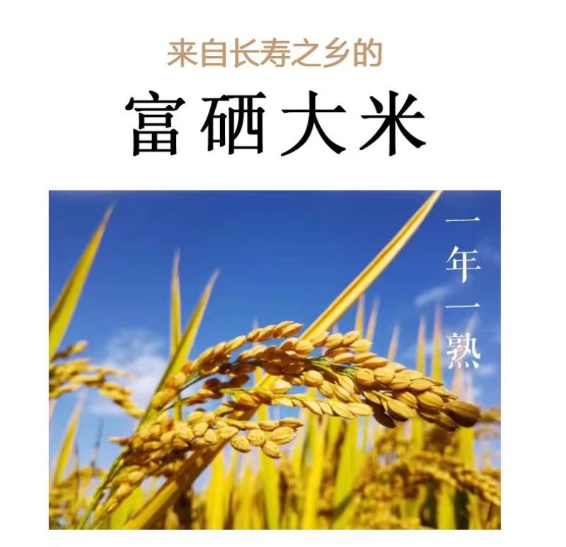 如皋梓鹏富硒大米新米真空包装厂家直发对接全国电商一件代发