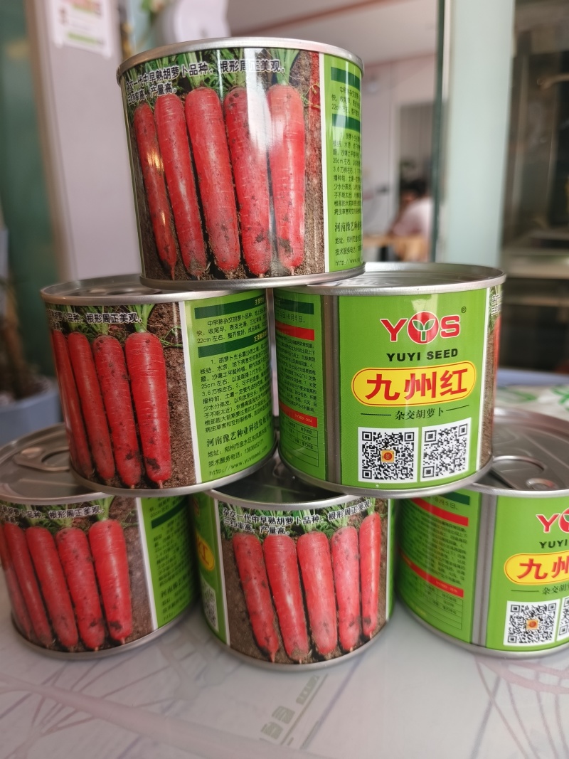 九州红杂交胡萝卜种子表皮光滑根长22厘米收尾早商品性好
