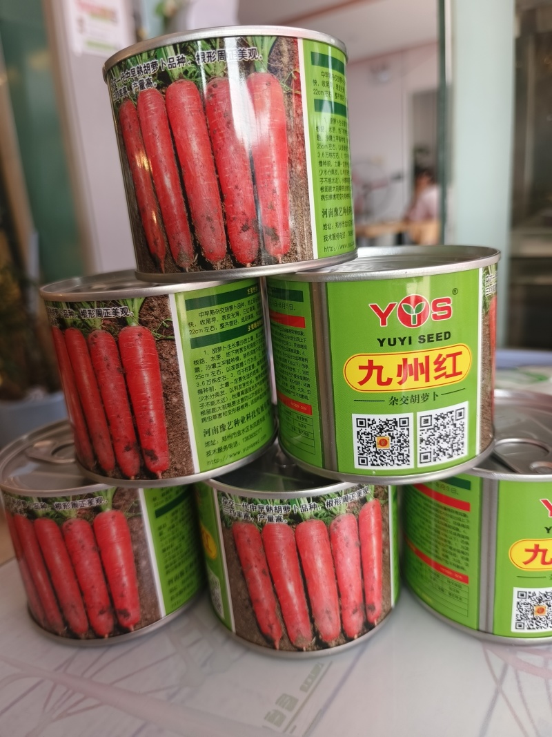 九州红杂交胡萝卜种子表皮光滑根长22厘米收尾早商品性好