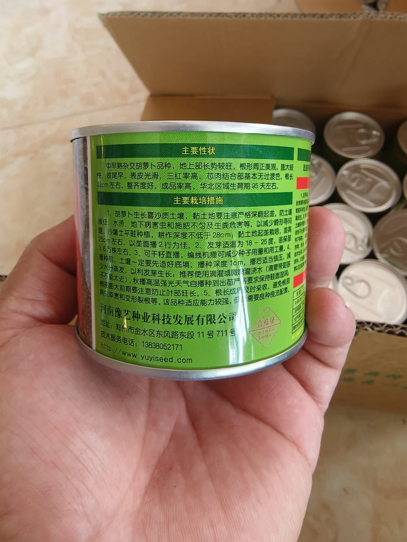 九州红杂交胡萝卜种子表皮光滑根长22厘米收尾早商品性好